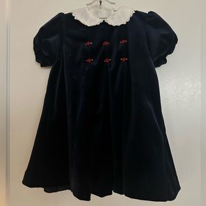 Vintage Navy Velvet Embroidered Dress